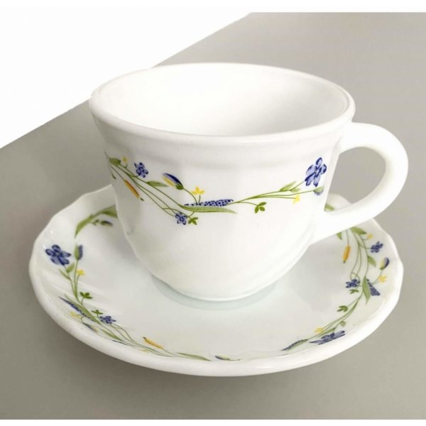 La Opala Morning Glory Tea & Coffee Cup & Saucers 220 ML Set of 6.